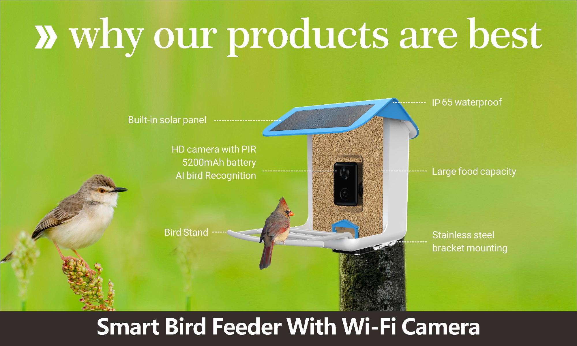 Smart Bird Feeder With Wi-Fi Camera