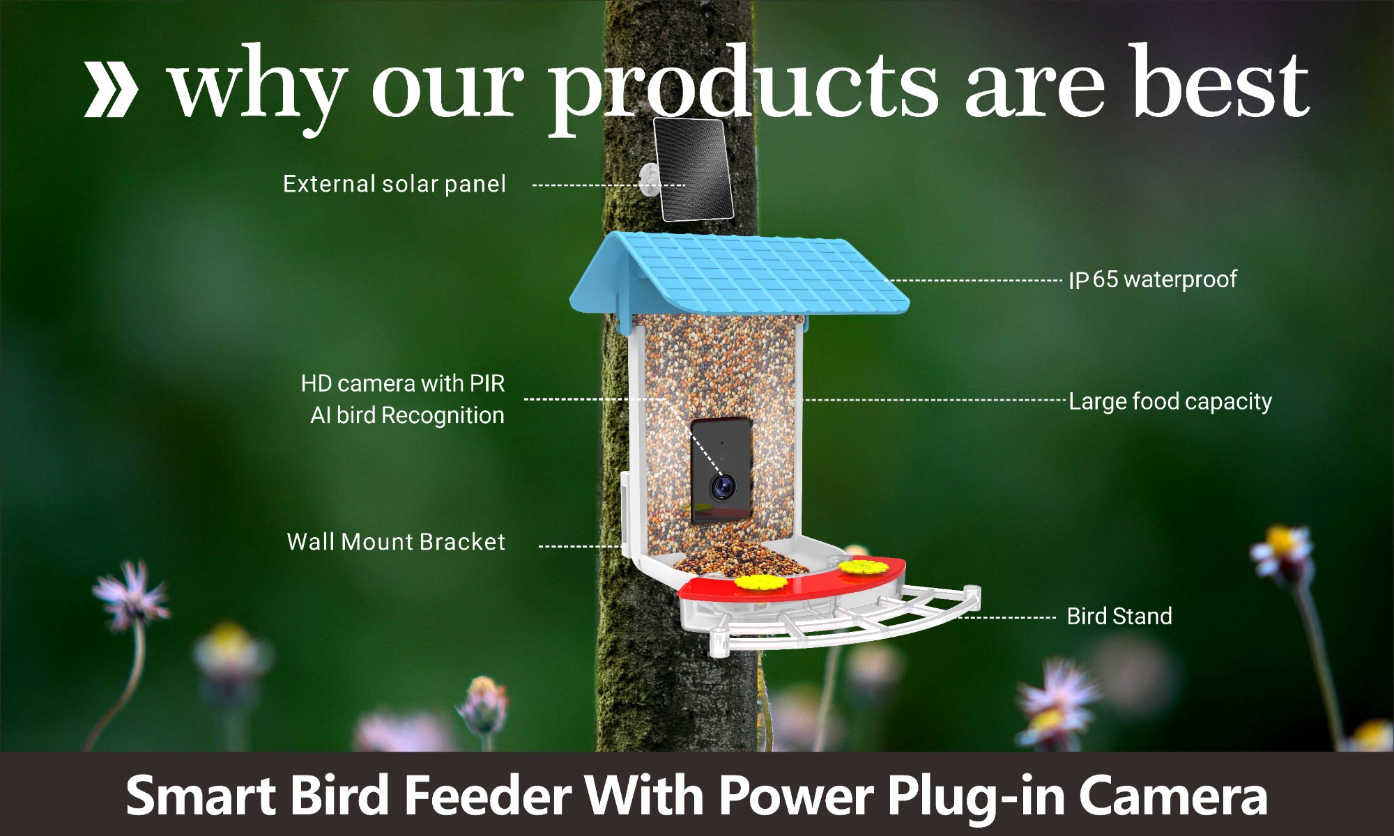 Smart Bird Feeder With Power Plug-in Camera