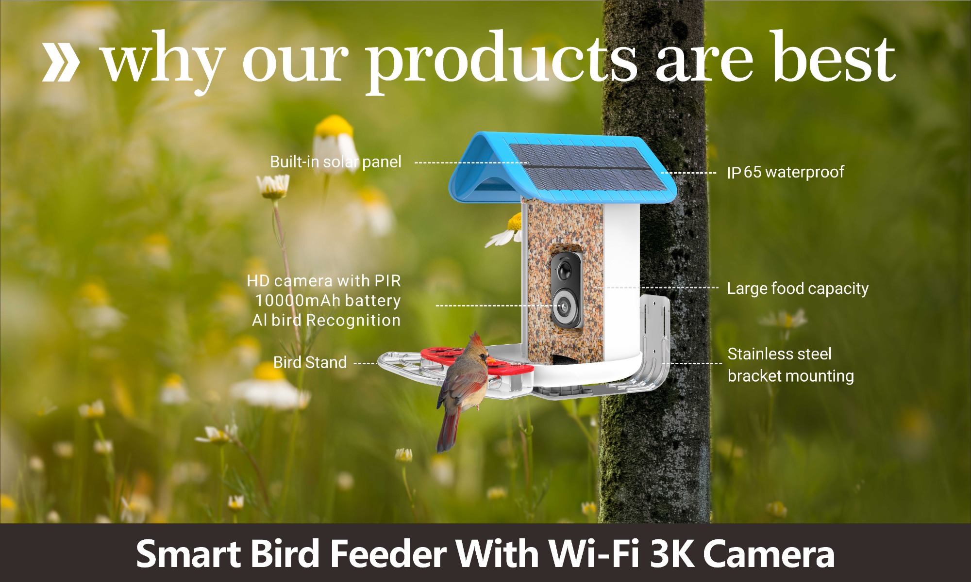Smart Bird Feeder With Wi-Fi 3K Camera