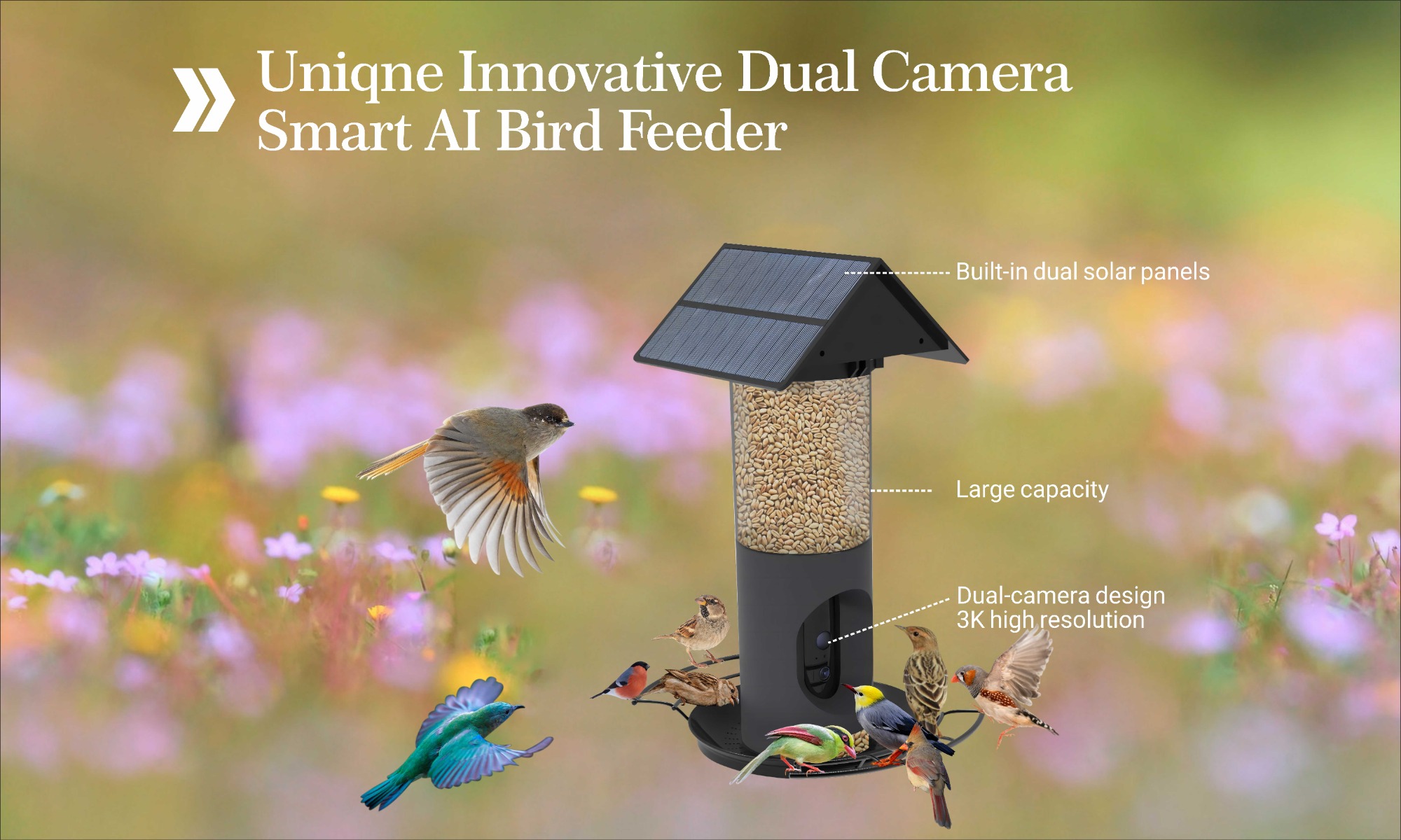 Multi-Function Feeder With Camera