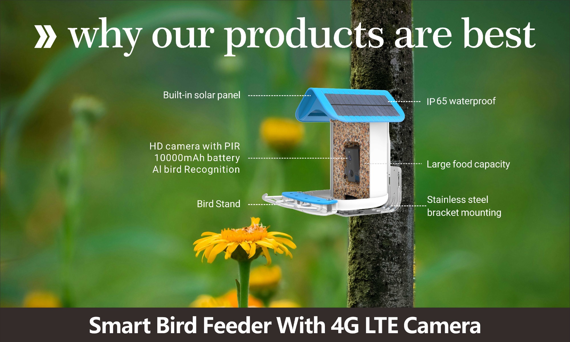 Smart Bird Feeder With 4G LTE Camera