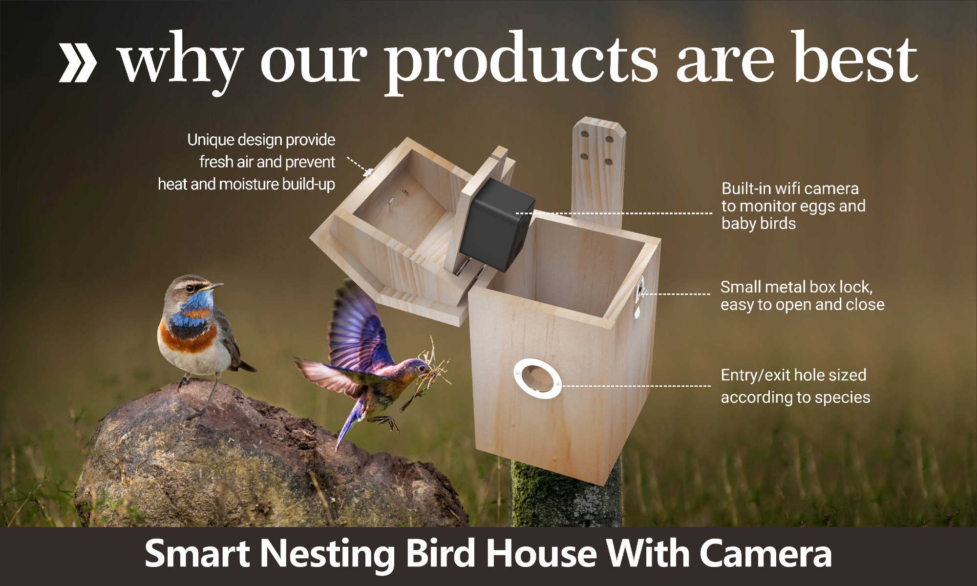Smart Nesting Bird House With Camera