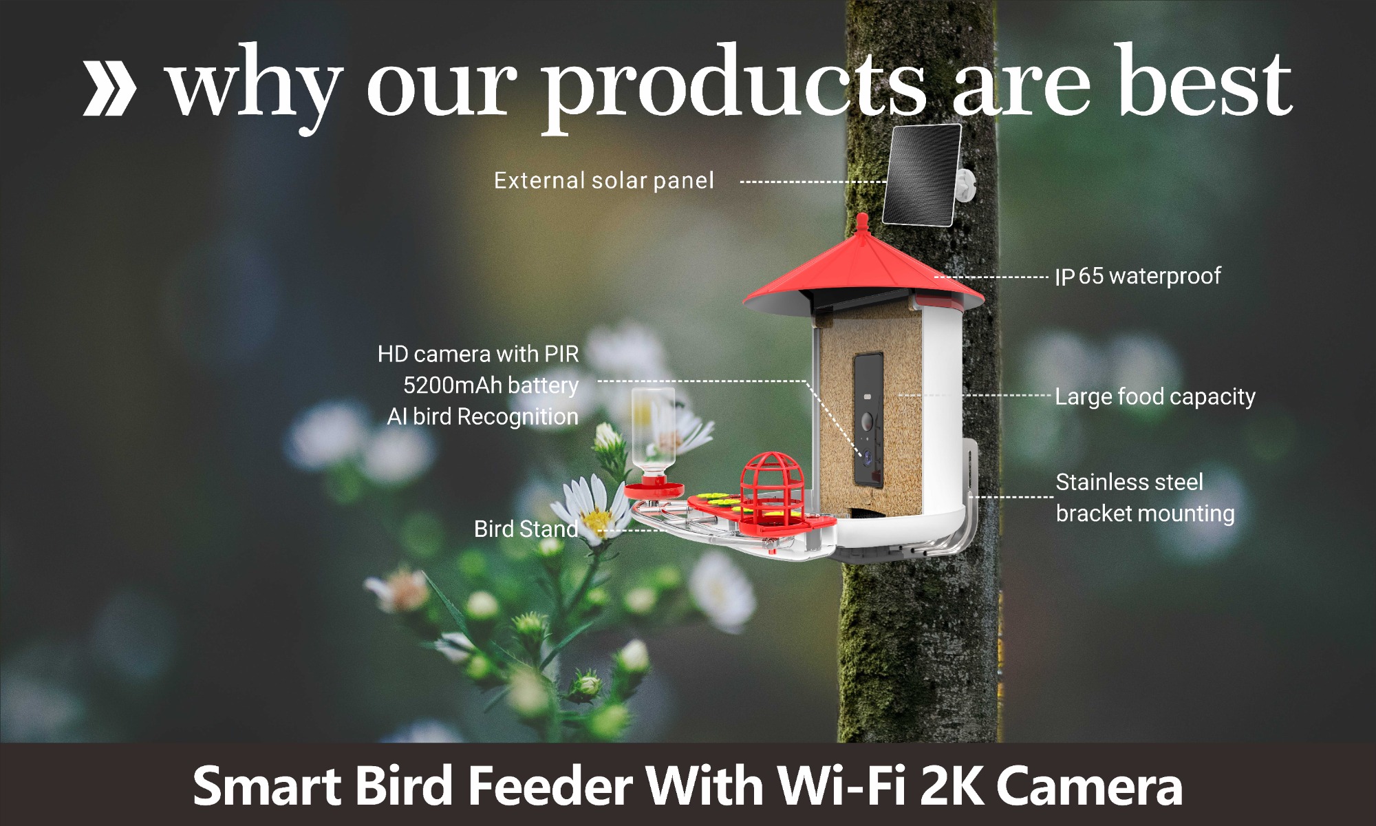 Smart Bird Feeder With Wi-Fi 2K Camera